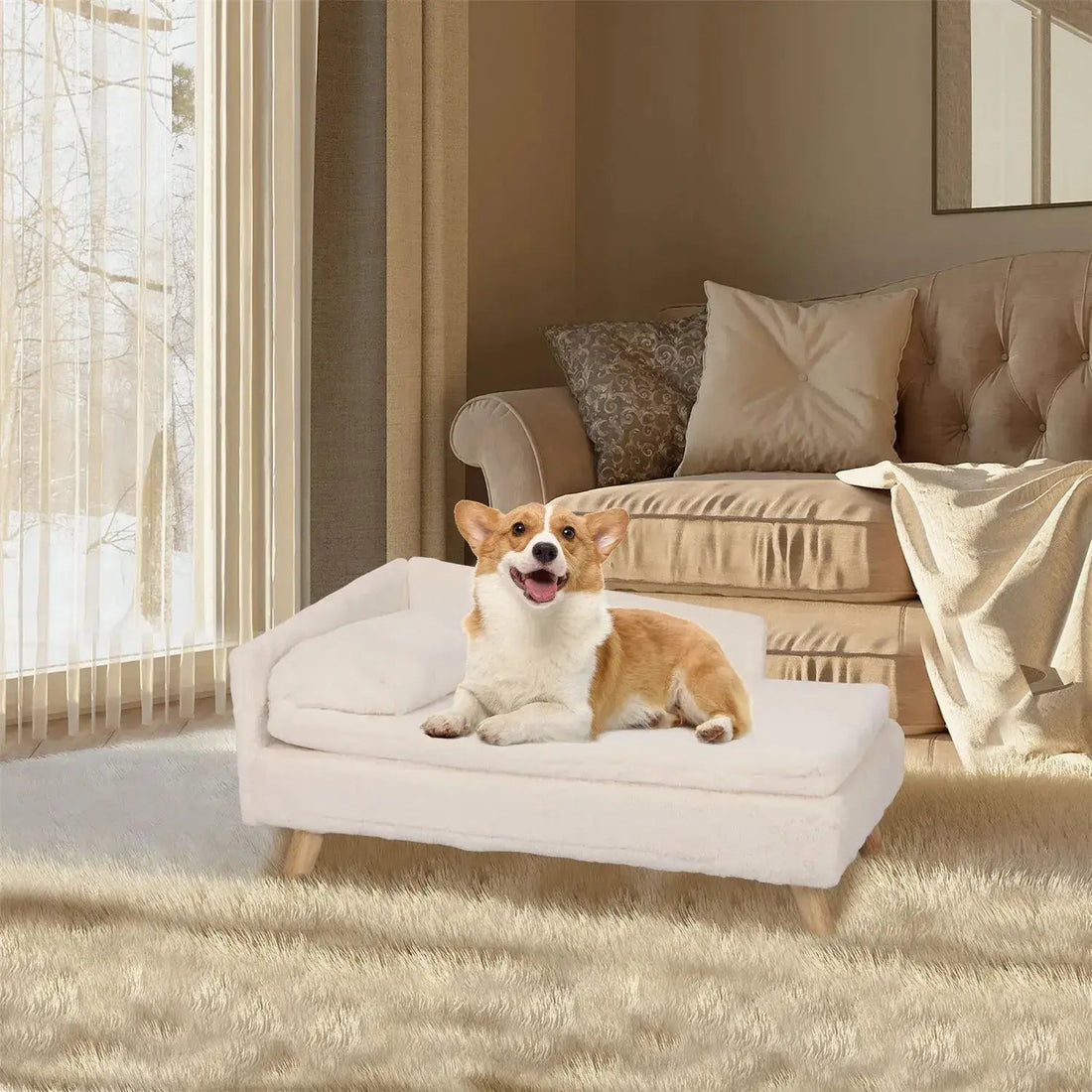 Signs Your Dog Needs a Better Bed: A Complete Guide to Improving Your Pup's Sleep - Petmartopia