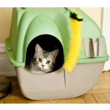 The Ultimate Pet Owner Starter Checklist: Essentials for New Dog or Cat Parents in 2026 - Petmartopia