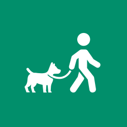 Pet Travel Accessories – Safe & Easy Trips