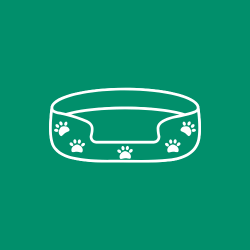 Pet Beds – Cozy & Orthopedic Comfort for Pets