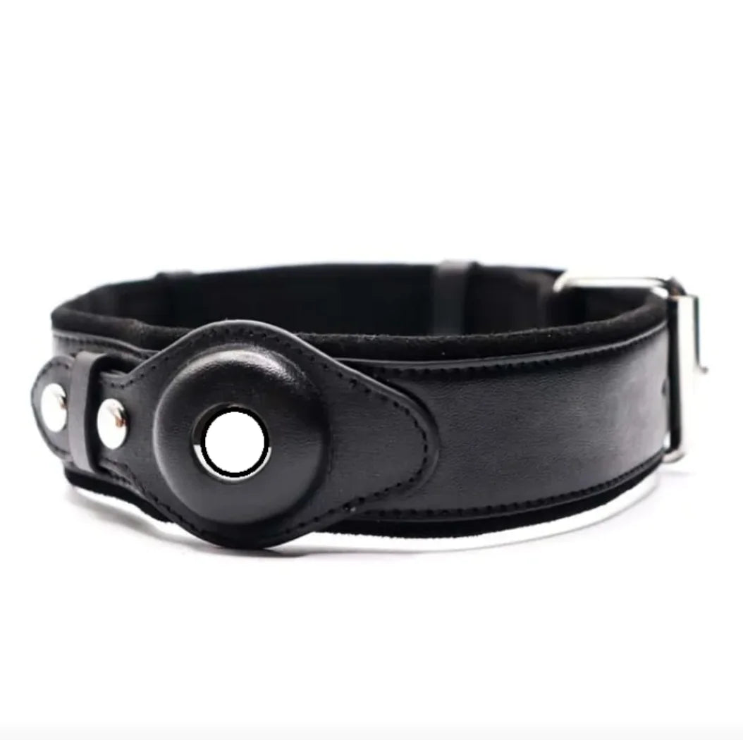 Leather Dog Collar with AirTag Holder