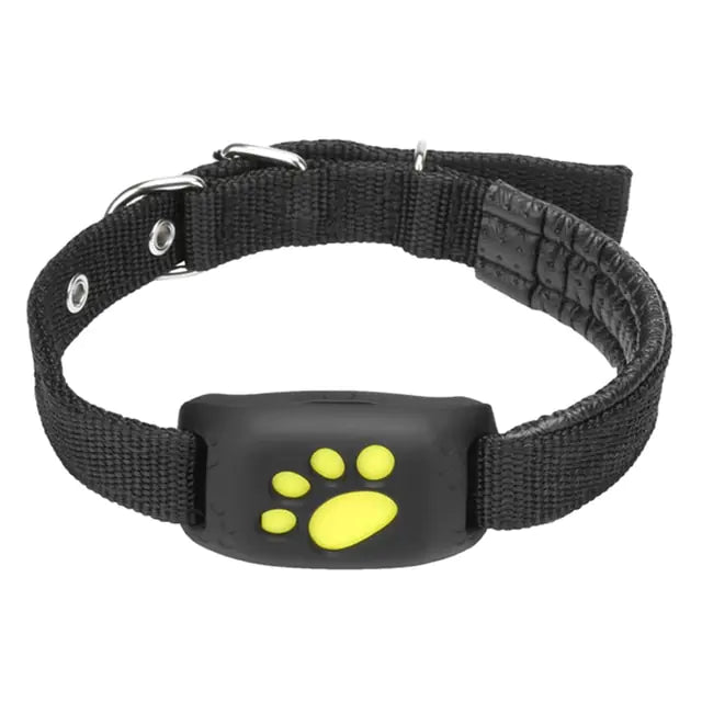 Real-Time GPS Pet Tracker - Geofencing & Alerts