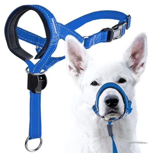 Dog Head Collar & Leash Set - No-Pull Training
