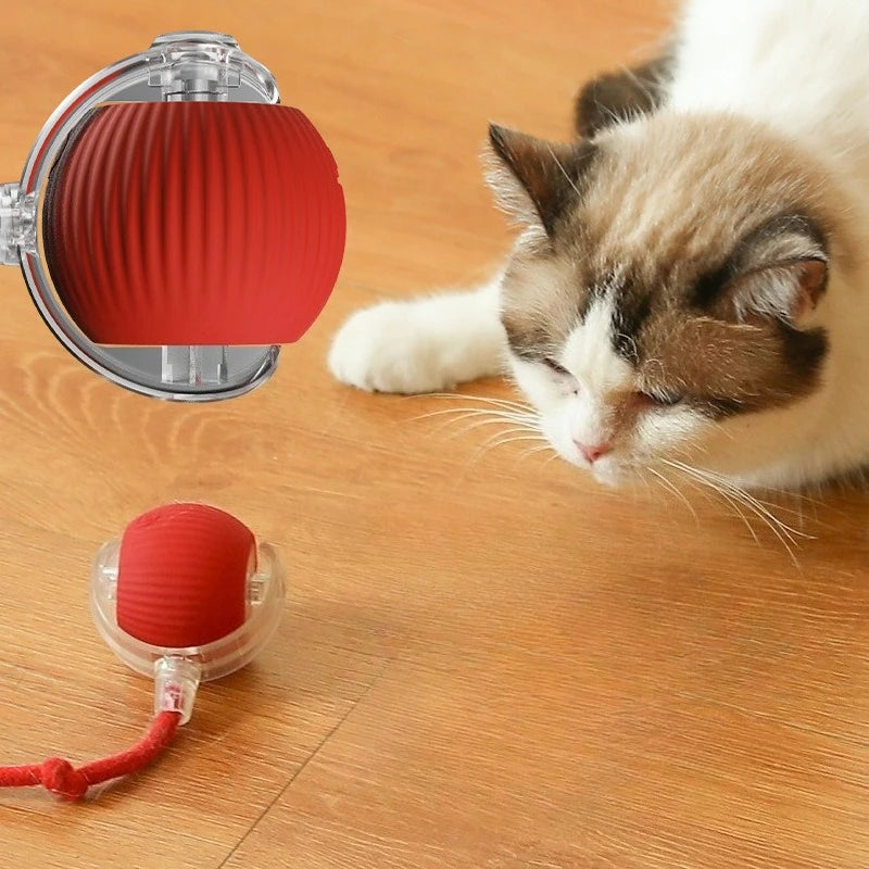 Smart Interactive Cat Ball - Automatic Rolling Toy