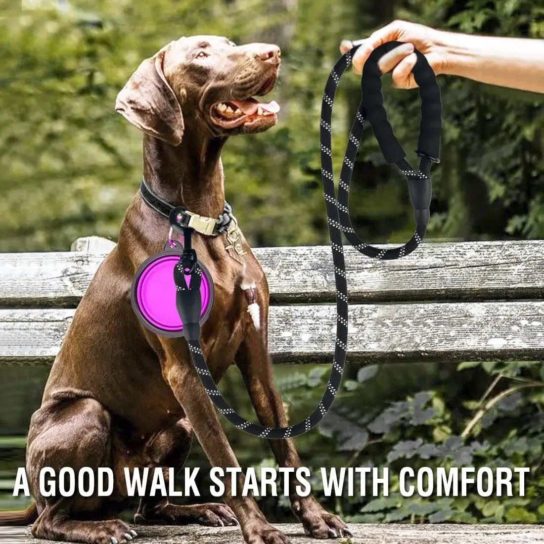 Reflective Dog Leash - Strong Nylon for All Sizes