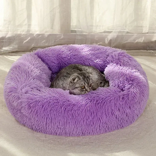 The Plush Comfort Bed - Petmartopia