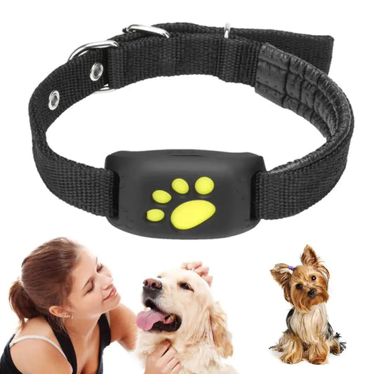 Real-Time GPS Pet Tracker - Geofencing & Alerts