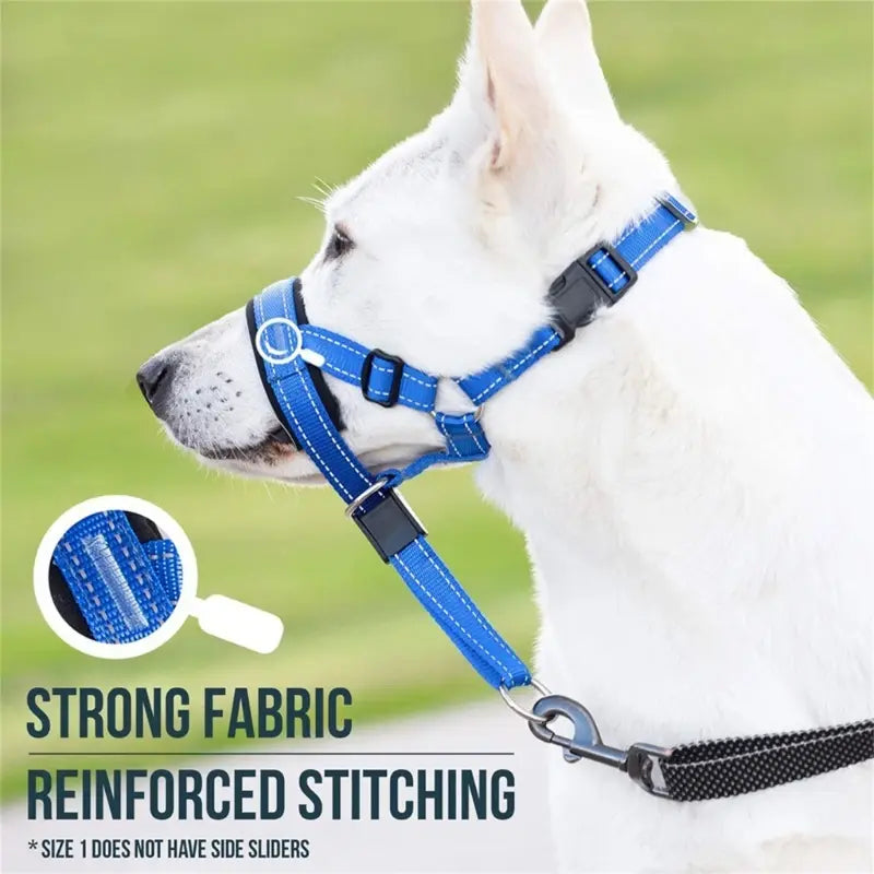 Dog Head Collar & Leash Set - No-Pull Training