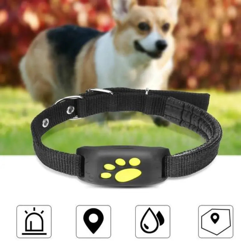 Real-Time GPS Pet Tracker - Geofencing & Alerts