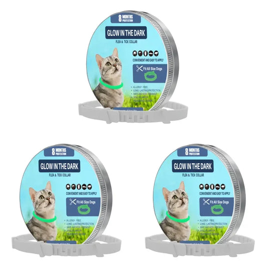 cat calming anxiety collar - Adjustable Solutions worn by a fluffy gray cat, highlighting its calming features.