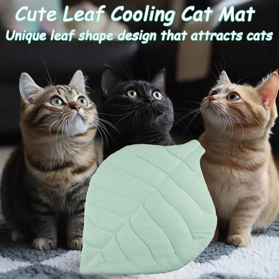 Self - Cooling Pet Mat - Petmartopia