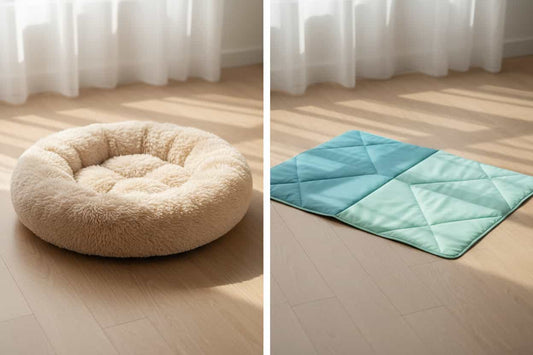 Memory Foam vs. Cooling Mat — Which Pet Bed Is Better for Your Dog or Cat?