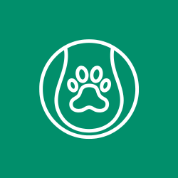 Pet Toys – Fun & Interactive Play