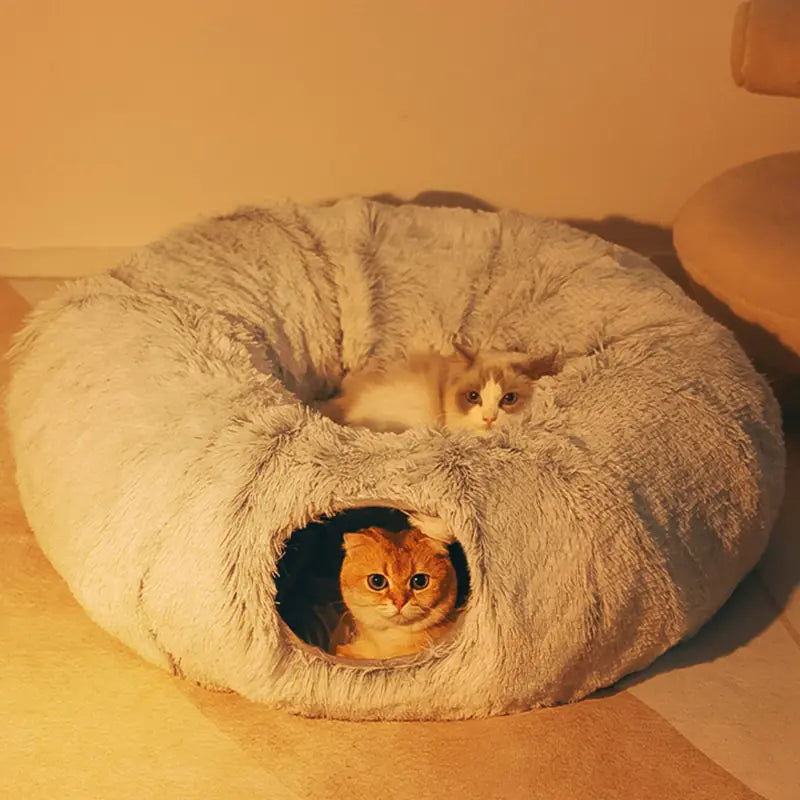 Cat Beds & Nests