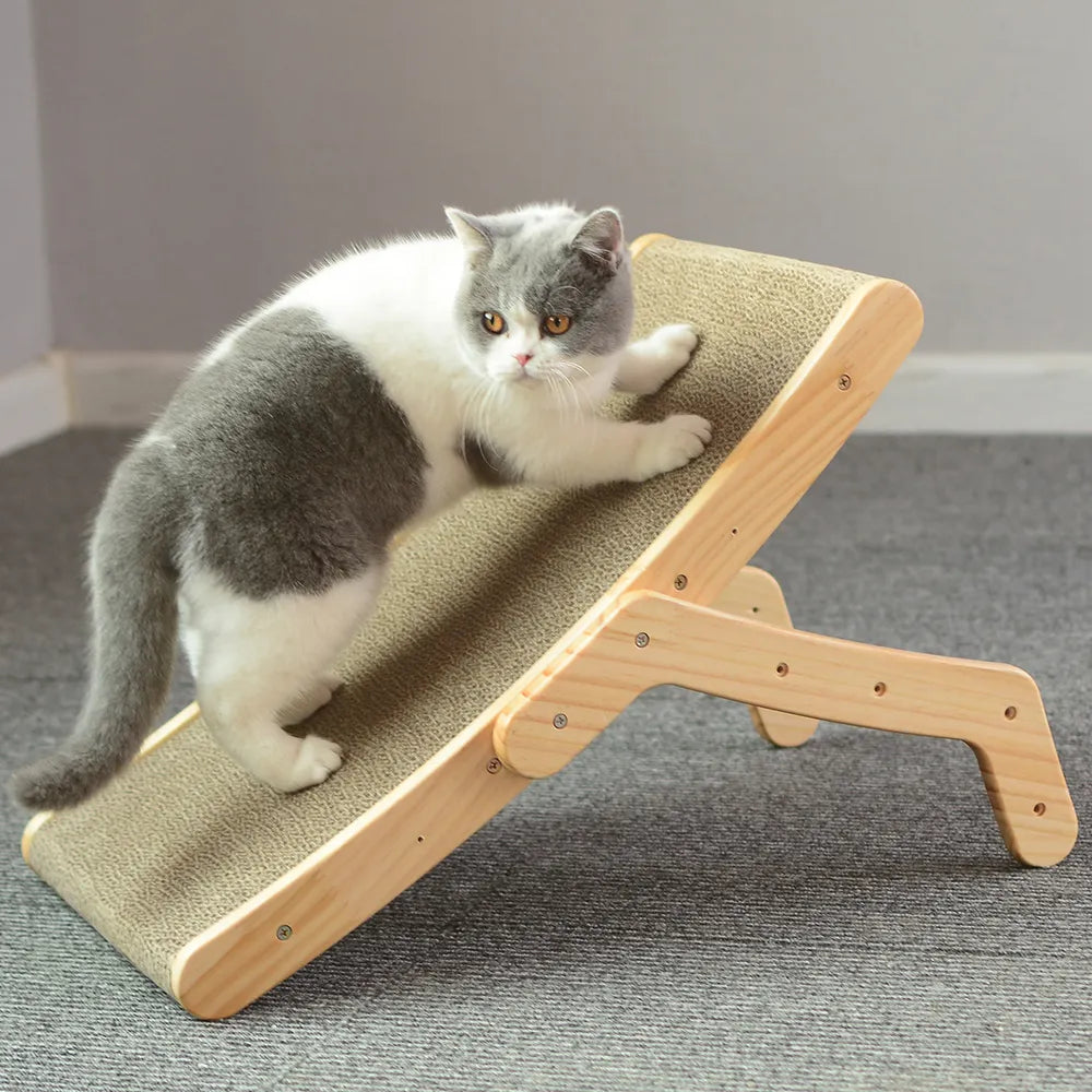 Scratching & Climbing