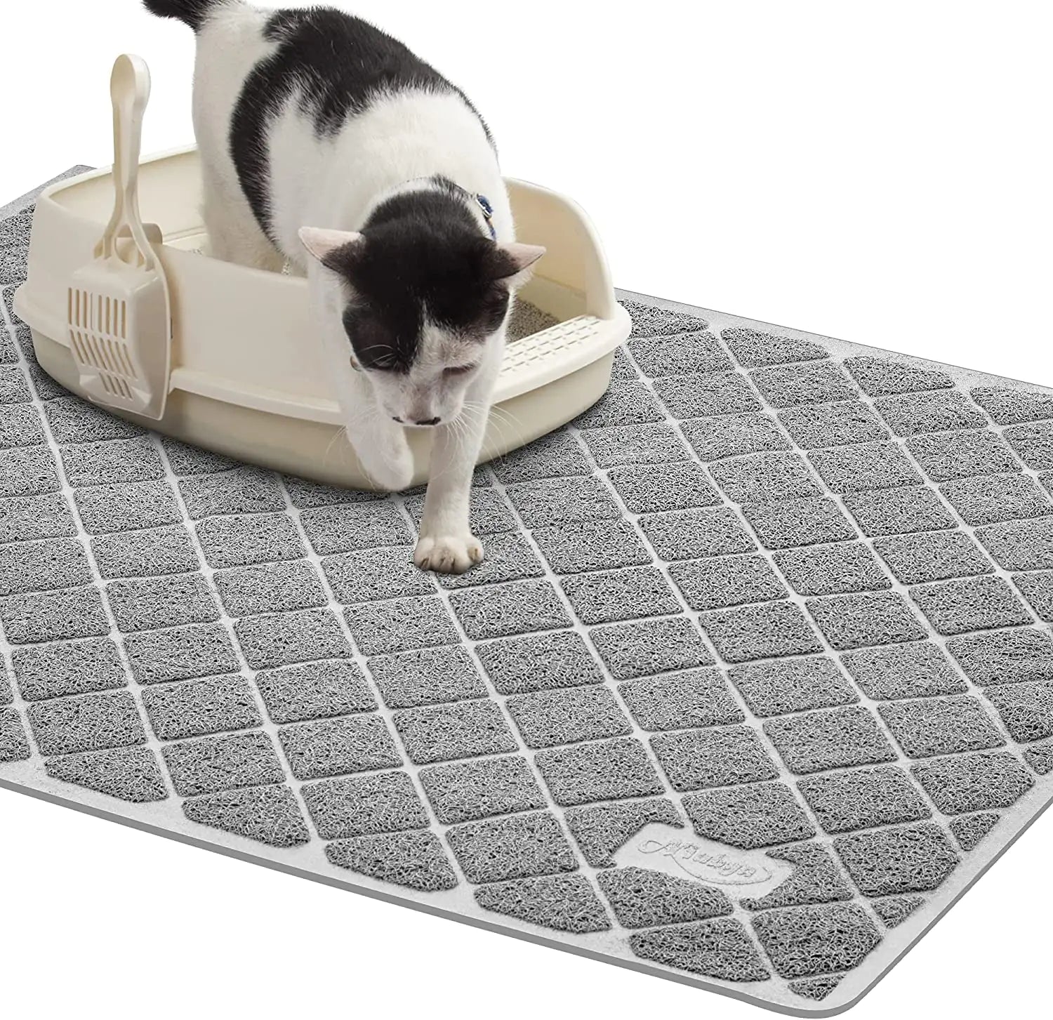 Litter Box & Potty Essentials