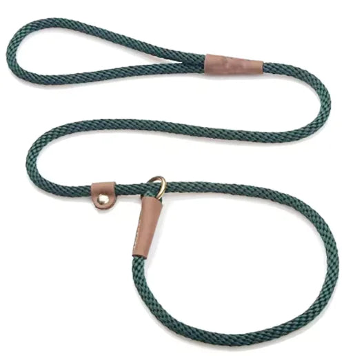 Collars, Leashes & Harnesses