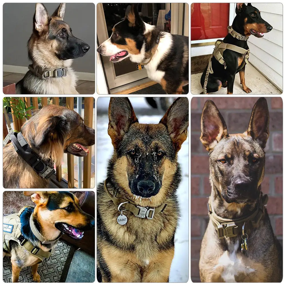 Tactical Nylon Dog Collar - Heavy-Duty