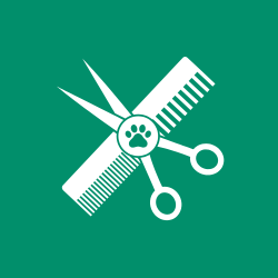 Pet Grooming Supplies – Brushes, Clippers & Care