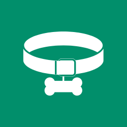 Pet Collars – Stylish & Adjustable for Safety