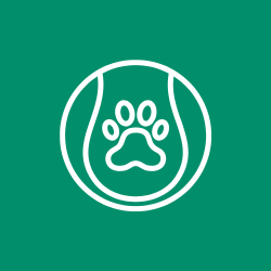 Pet Toys – Fun & Interactive Play