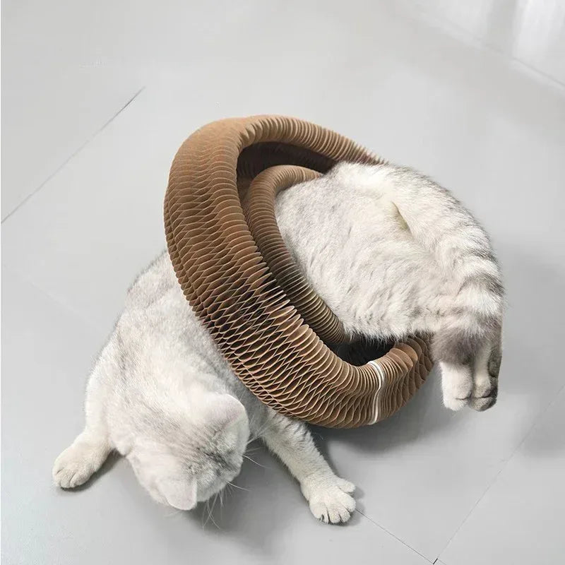 Kitty Kurlz™ Accordion Toy - Petmartopia