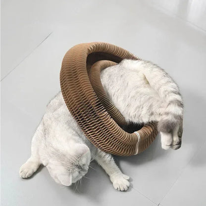 Kitty Kurlz™ Accordion Toy - Petmartopia