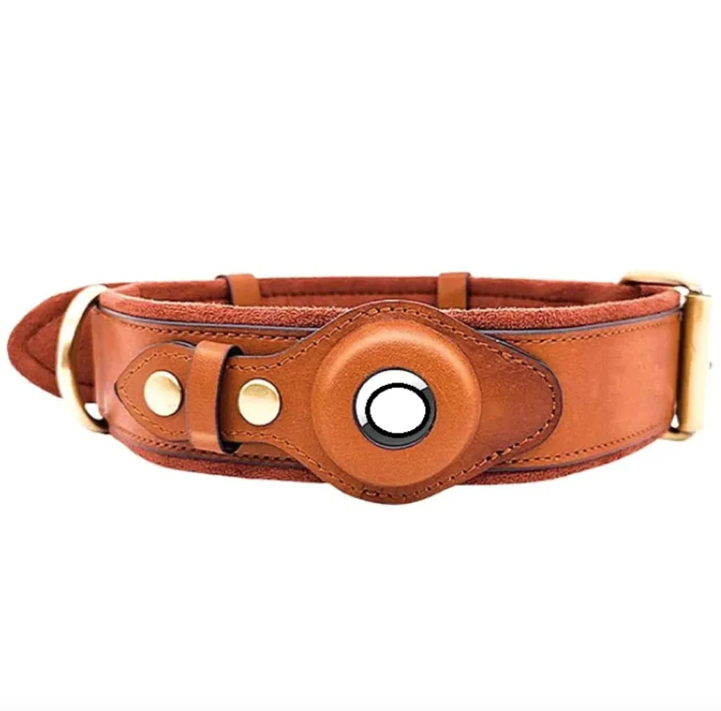 Leather Dog Collar with AirTag Holder