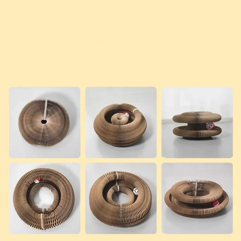 Kitty Kurlz™ Accordion Toy - Petmartopia