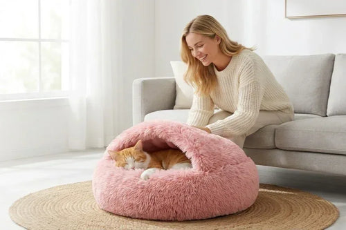 The Cozy Shell Bed - Petmartopia