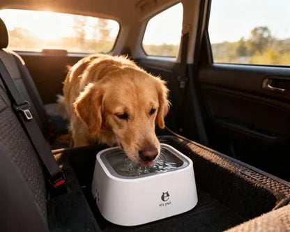 Floating Water Bowl - Petmartopia