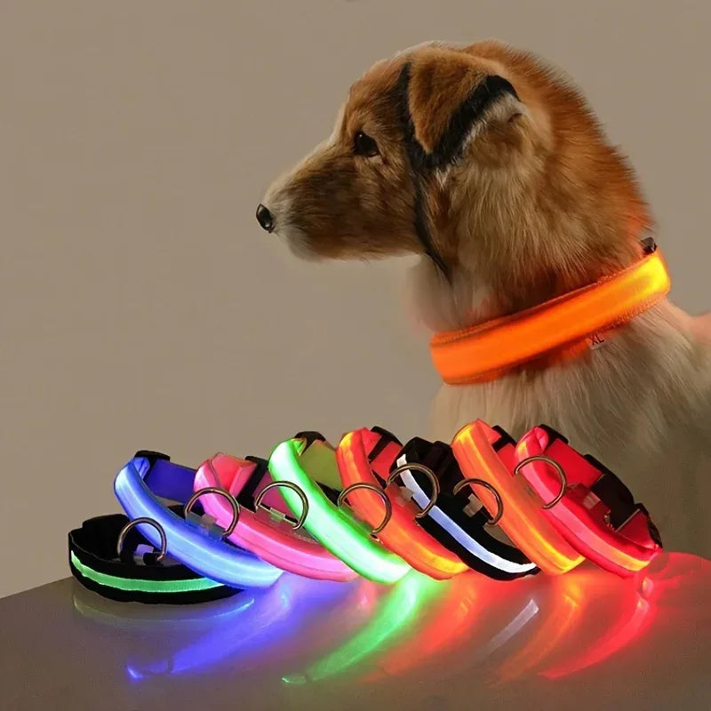LED Safety Dog Collar - Rechargeable Glow-in-Dark Night Visibility - Petmartopia