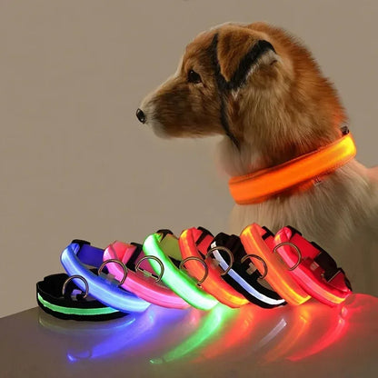LED Safety Dog Collar - Rechargeable Glow-in-Dark Night Visibility - Petmartopia