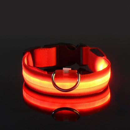 LED Safety Dog Collar - Rechargeable Glow-in-Dark Night Visibility - Petmartopia