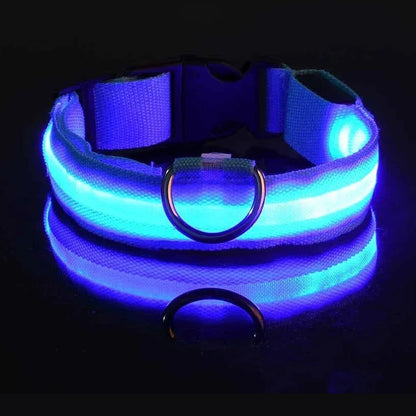 LED Safety Dog Collar - Rechargeable Glow-in-Dark Night Visibility - Petmartopia