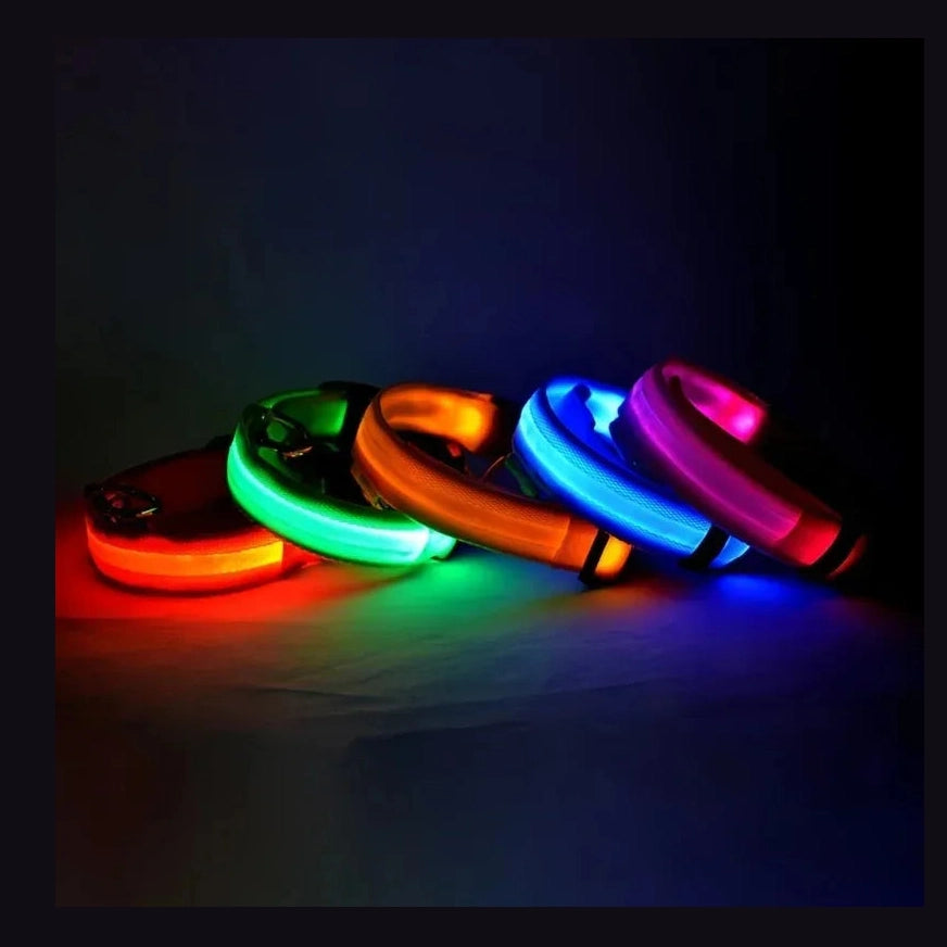 LED Safety Dog Collar - Rechargeable Glow-in-Dark Night Visibility - Petmartopia