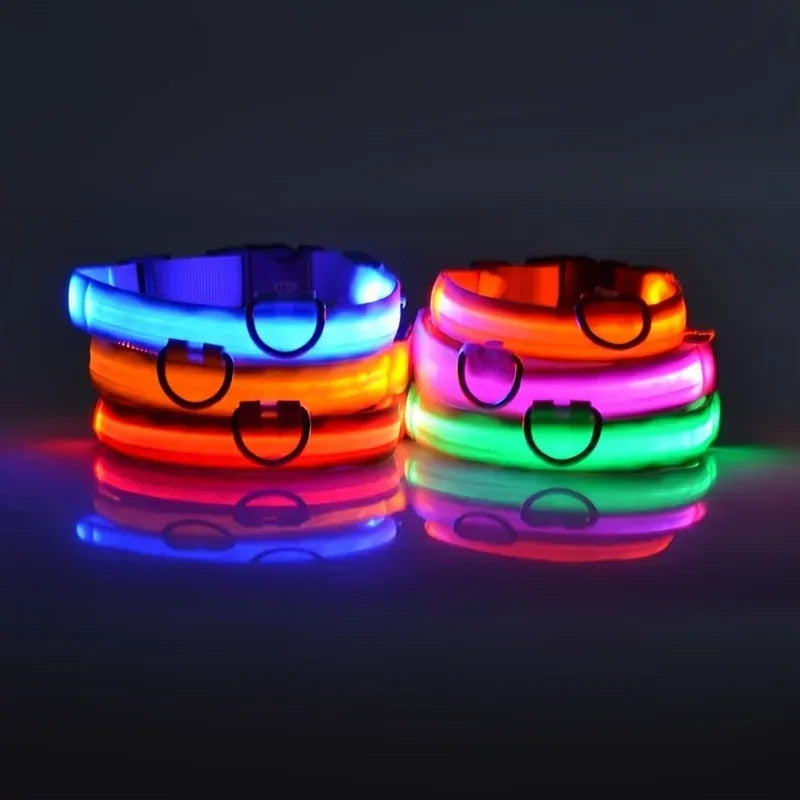LED Safety Dog Collar - Rechargeable Glow-in-Dark Night Visibility - Petmartopia