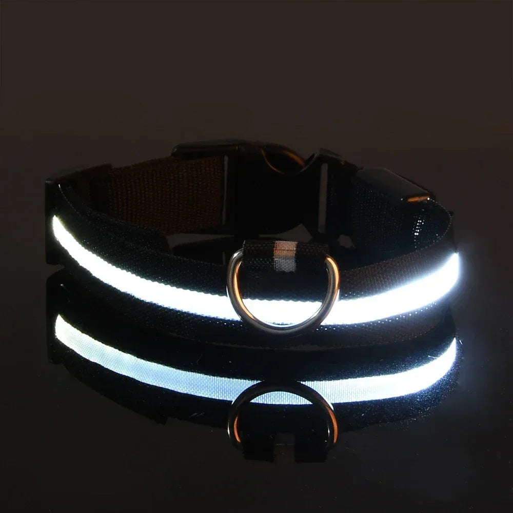 LED Safety Dog Collar - Rechargeable Glow-in-Dark Night Visibility - Petmartopia