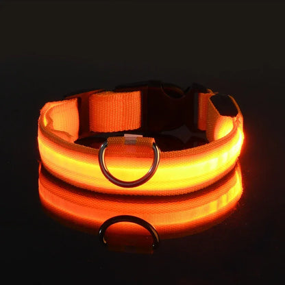 LED Safety Dog Collar - Rechargeable Glow-in-Dark Night Visibility - Petmartopia