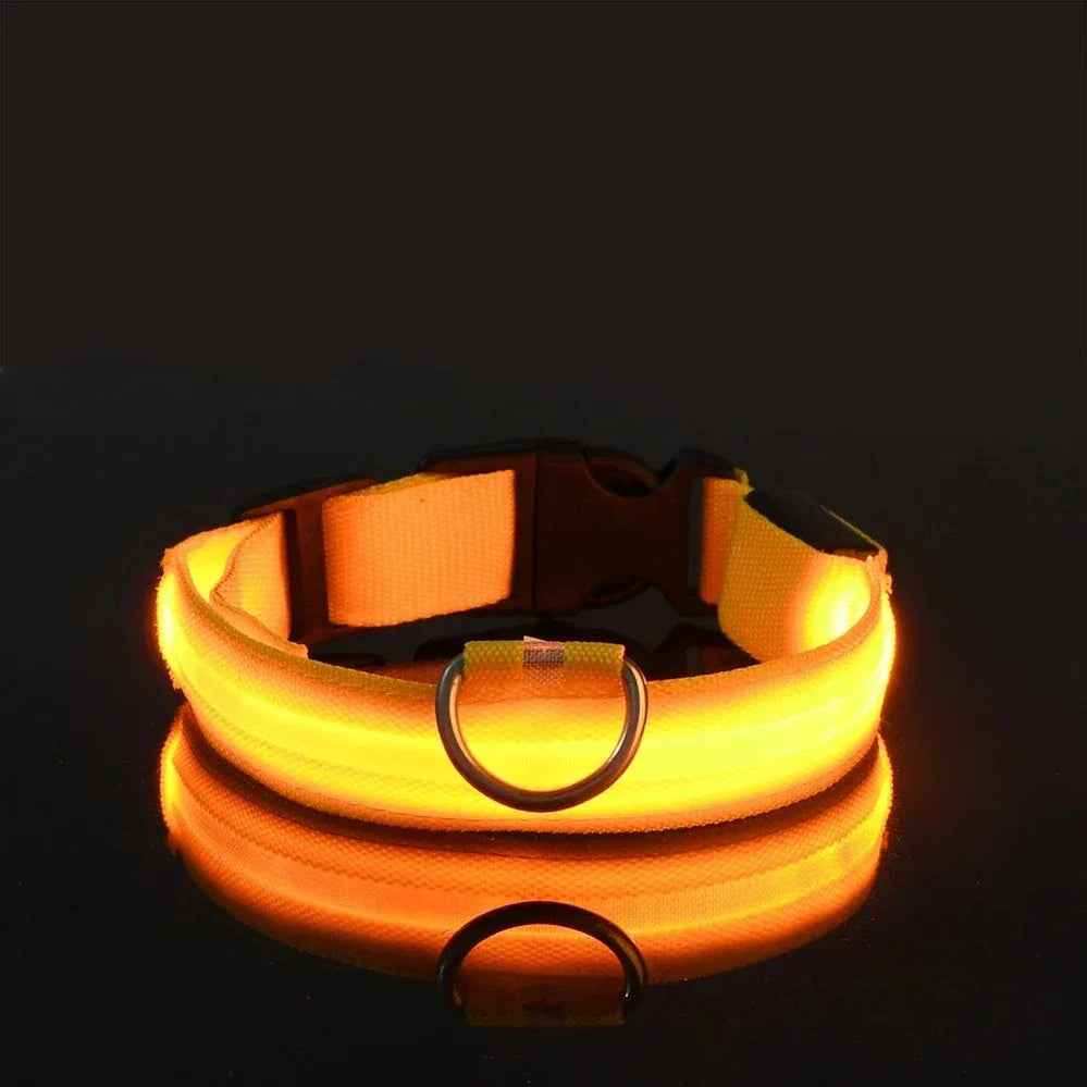 LED Safety Dog Collar - Rechargeable Glow-in-Dark Night Visibility - Petmartopia