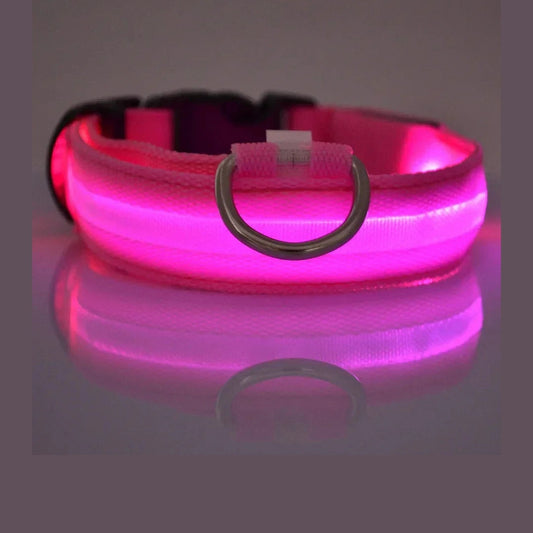 LED Safety Dog Collar - Rechargeable Glow-in-Dark Night Visibility - Petmartopia
