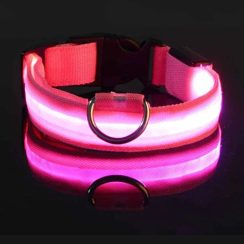 LED Safety Dog Collar - Rechargeable Glow-in-Dark Night Visibility - Petmartopia