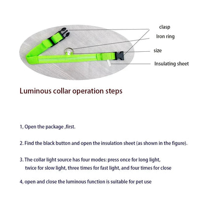 LED Safety Dog Collar - Rechargeable Glow-in-Dark Night Visibility - Petmartopia