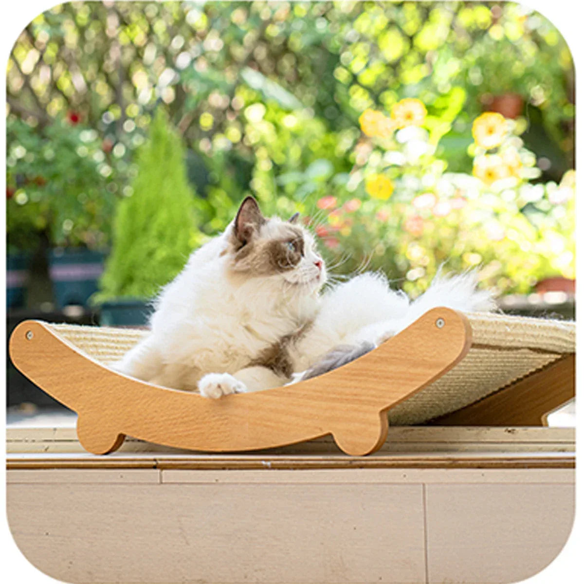 Natural Wood Cat Scratcher & Lounge - 2-in-1 Bed - Petmartopia