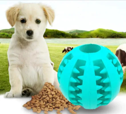 3-in-1 Dog Treat Ball - Slow Feeder & Dental Toy