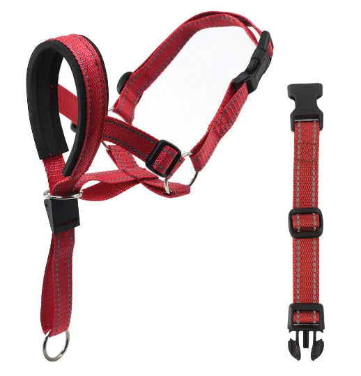 Dog Head Collar & Leash Set - No-Pull Training