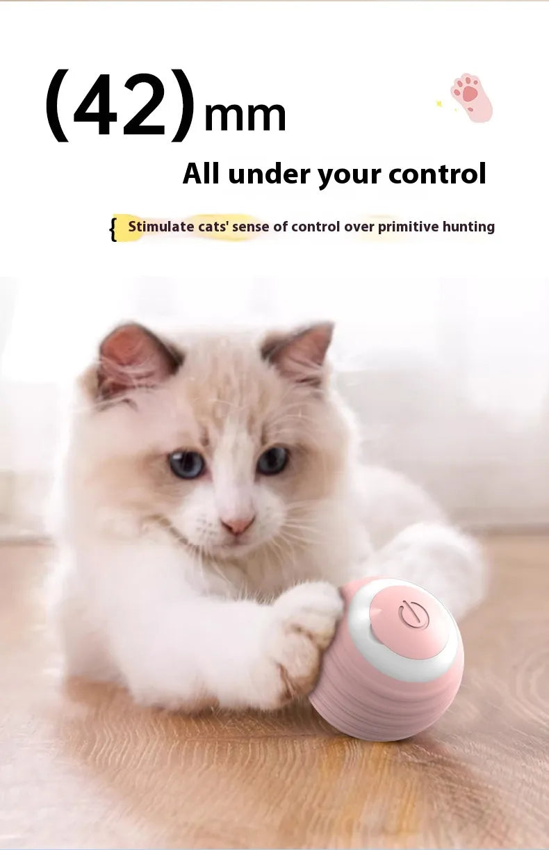 Cat playing with a pink toy, with text about control and primitive hunting.