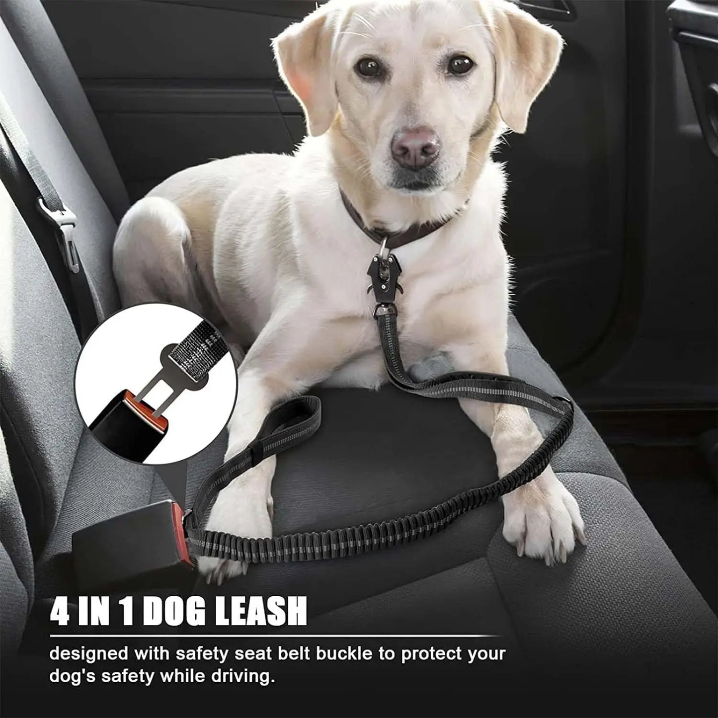 Shock-Absorbing Dog Leash - Reflective with Car Seatbelt