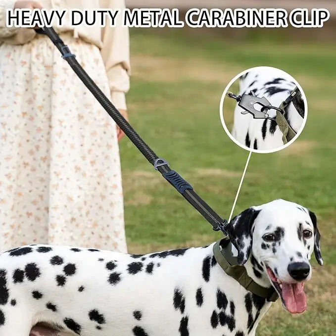 Shock-Absorbing Dog Leash - Reflective with Car Seatbelt