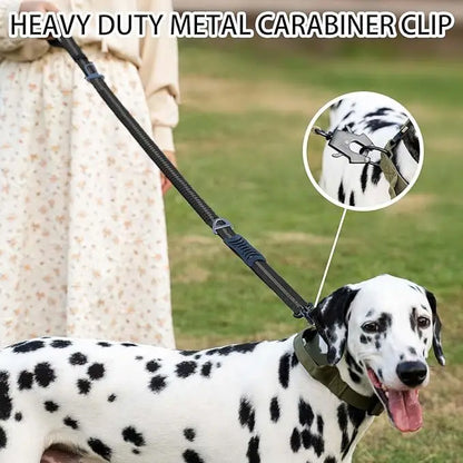 Shock-Absorbing Dog Leash - Reflective with Car Seatbelt